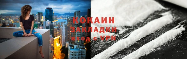 тгк Инсар