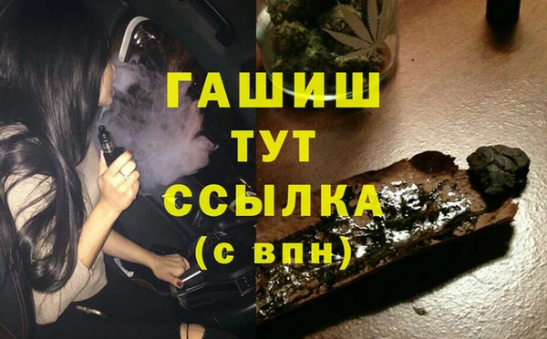 тгк Инсар
