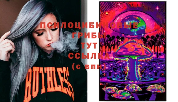 мдпв Зеленодольск