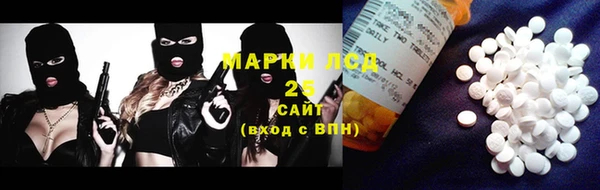тгк Инсар
