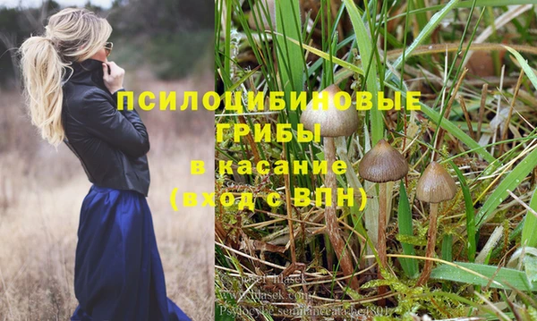мескалин Инта