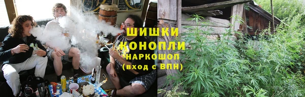тгк Инсар