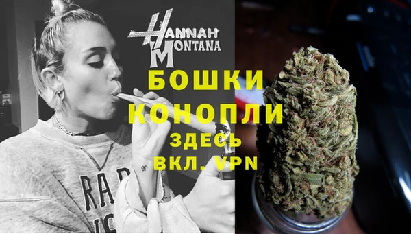 тгк Инсар