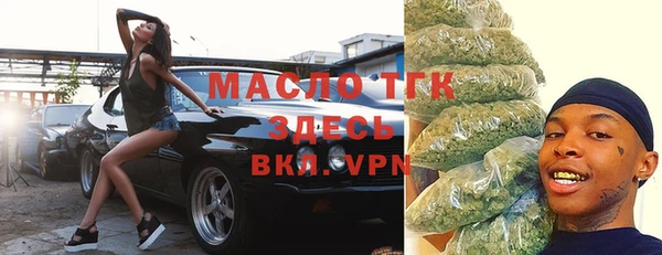 тгк Инсар
