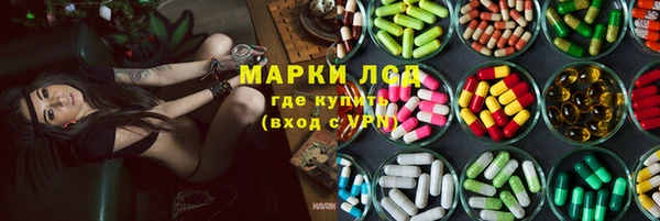 тгк Инсар