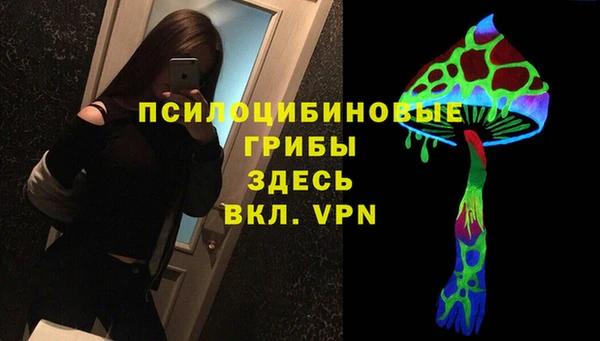 мескалин Инта
